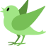 oiseau vert oiseau vert